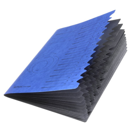Herlitz 10843316 Trieur Colorspan avec onglets 1-12 (Bleu) (Import Allemagne)