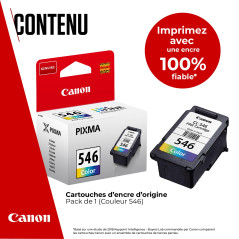 Canon CL-546 Cartouche Couleur Certifié Certifié (Emballage Carton)