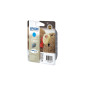EPSON T0612 - Cartouche d'encre - Cyan EPSON T0612 - Cartouche d'encre - Cyan