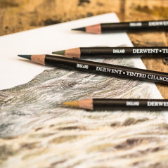 Derwent Crayons fusains teintés sous blister