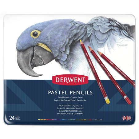 Derwent Pastel - Set de 24 Crayons Pastels, Qualité Professionnelle, 32992