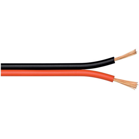 Wentronic 10m 2x 0.5mm Câble pour enceinte - Rouge/Noir