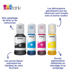 Epson Bouteille d'encre authentique noire EcoTank 113, 127 ml