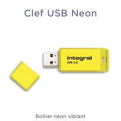Integral 32GB Neon Jaune USB 3.2 Gen 1 Clé USB