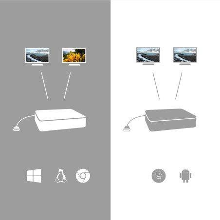 i-tec Station d'accueil USB-C 2 x 4 K - 2 x DisplayPort 1 x USB-C 3 x USB 3.0 2 x USB 2.0 1 x GLAN 1 x audio/micro