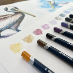 Derwent Watercolour - Set de 12 Crayons de Couleurs Aquarellables, Qualité Professionnelle, 32881