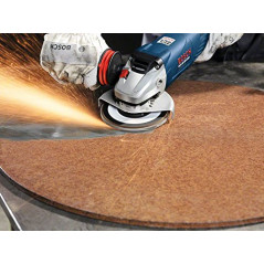 Bosch Accessories Plateau à Lamelles X551, 120 Grain, 15 à 25° Angle, 12250 tr/min, Support en Fibre de Verre, 125mm