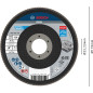 Bosch 1x Plateau à lamelles PRO Metal X571, version bombée sur fibres (pour Acier, Acier inoxydable, Ø 115 mm, Grain 120, Profes Bosch 1x Plateau à lamelles PRO Metal X571, version bombée sur fibres (pour Acier, Acier inoxydable, Ø 115 mm, Grain 120, Profes