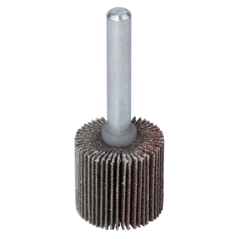 wolfcraft 2037000 Roue abrasifs à lamelle T 6 mm Grain 120 Diamètre 20 x 20 mm wolfcraft 2037000 Roue abrasifs à lamelle T 6 mm Grain 120 Diamètre 20 x 20 mm