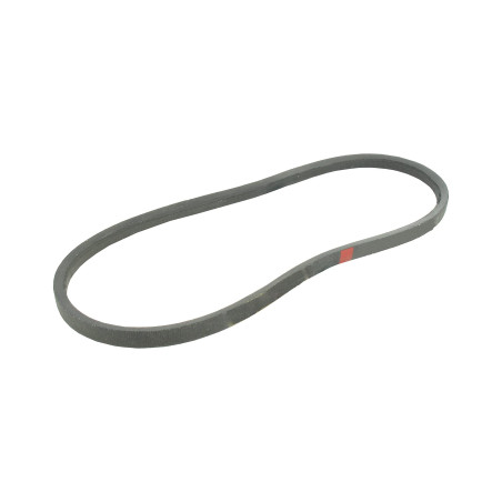 GREENSTAR - Courroie Lisse Z30 - Section 10x6 mm - Longueur Extérieure 803 mm - Facilité De Remplacement - Résistante Et Durable