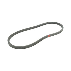 GREENSTAR - Courroie Lisse Z30 - Section 10x6 mm - Longueur Extérieure 803 mm - Facilité De Remplacement - Résistante Et Durable