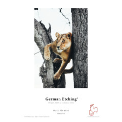 Hahnemühle Digital fine art German Etching Papier, 310 G/M² 210 x 297 mm bianco