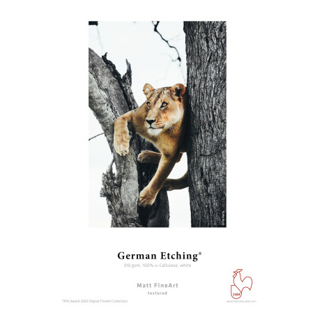 Hahnemühle Digital fine art German Etching Papier, 310 G/M² 210 x 297 mm bianco