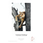 Hahnemühle Digital fine art German Etching Papier, 310 G/M² 210 x 297 mm bianco