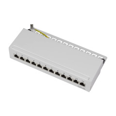 LogiLink Professional Patch Panel Desktop - Panneau de Brassage, Gris Clair, 12 Ports