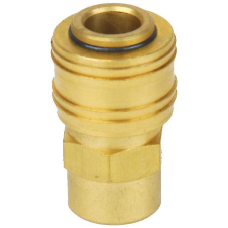 (6) Connexion de laton rosca interior R 3/8"