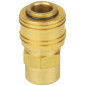 (6) Connexion de laton rosca interior R 3/8"