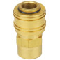 (6) Connexion de laton rosca interior R 3/8"