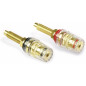 Dynavox 204609 - Lot de 2 Dynavox 204609 - Lot de 2