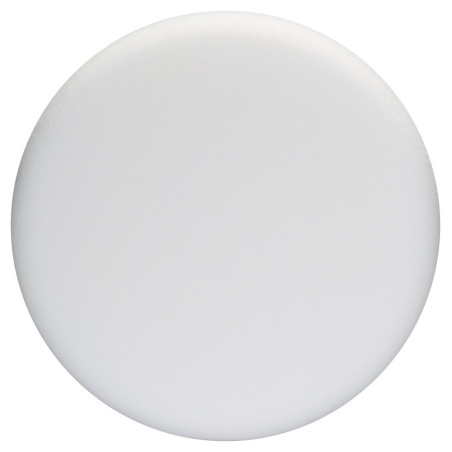 Bosch Accessories 2608612024 Disque mousse souple blanc ø 170 mm