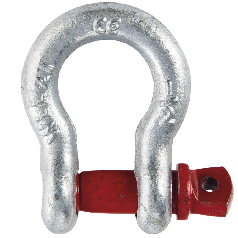 WERKA PRO - 04719 Manille lyre 2t WERKA PRO - 04719 Manille lyre 2t
