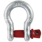 WERKA PRO - 04719 Manille lyre 2t WERKA PRO - 04719 Manille lyre 2t