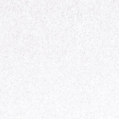 GBC CE080070 Pack de 100 Couvertures Classiques A4 Blanc