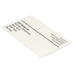 Leitz Icon Cartouche de 225 Etiquettes prédécoupées en papier 102 x 59 mm Blanc