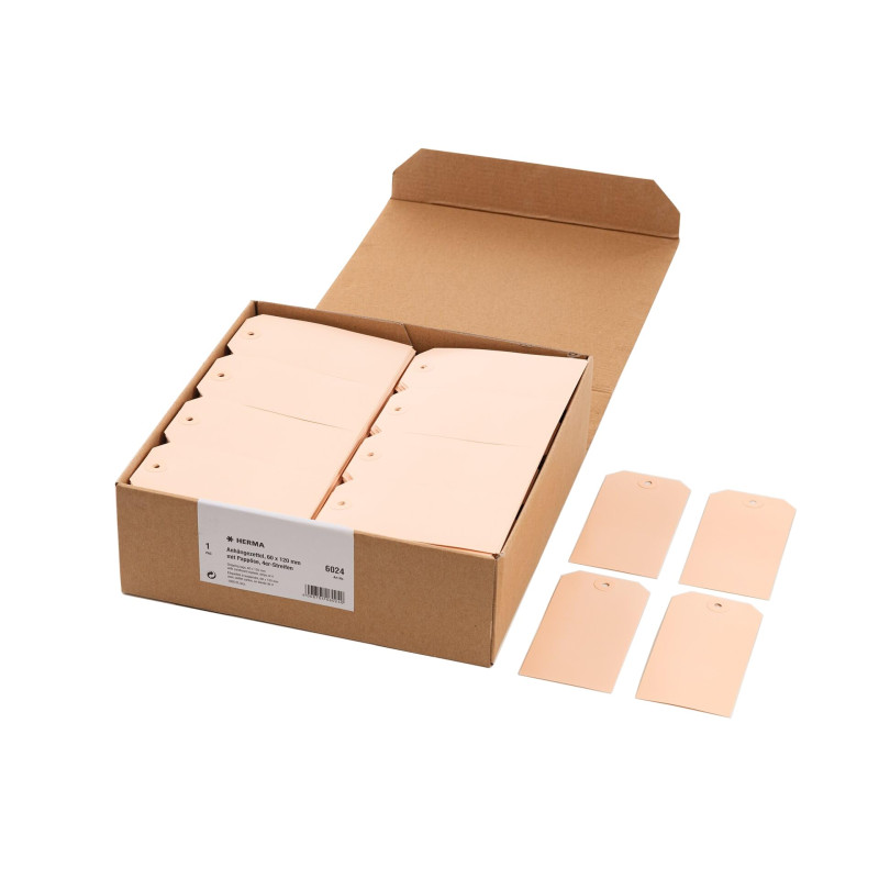 Herma 6024 Lot de 1000 étiquettes à suspendre avec œillet 60 x 120 mm (Marron) Herma 6024 Lot de 1000 étiquettes à suspendre avec œillet 60 x 120 mm (Marron)