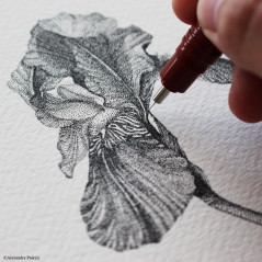rOtring Isograph Stylo Feutre | 0,50 mm Fineliner Rechargeable