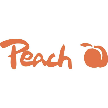 Peach PW079-07 Lot de 60 reliures métalliques pour 20 documents DIN A4 8 mm