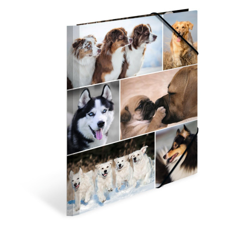 HERMA Chemises à élastique Animaux avec motif Chiens, A4, carton robuste, avec impression intérieure, 1 porteé de chemise