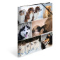 HERMA Chemises à élastique Animaux avec motif Chiens, A4, carton robuste, avec impression intérieure, 1 porteé de chemise HERMA Chemises à élastique Animaux avec motif Chiens, A4, carton robuste, avec impression intérieure, 1 porteé de chemise