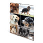 HERMA Chemises à élastique Animaux avec motif Chiens, A4, carton robuste, avec impression intérieure, 1 porteé de chemise HERMA Chemises à élastique Animaux avec motif Chiens, A4, carton robuste, avec impression intérieure, 1 porteé de chemise