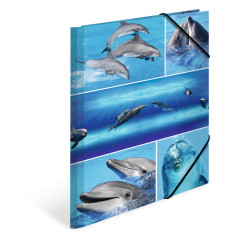 HERMA Chemises à élastique Animaux avec motif Dauphins, A4, carton robuste, avec impression intérieure, 1 porteé de chemise