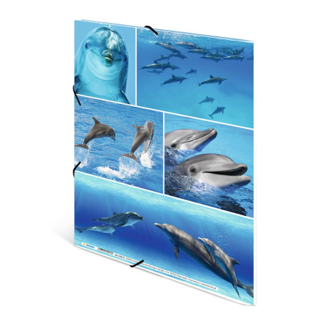 HERMA Chemises à élastique Animaux avec motif Dauphins, A4, carton robuste, avec impression intérieure, 1 porteé de chemise