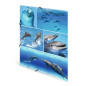 HERMA Chemises à élastique Animaux avec motif Dauphins, A4, carton robuste, avec impression intérieure, 1 porteé de chemise HERMA Chemises à élastique Animaux avec motif Dauphins, A4, carton robuste, avec impression intérieure, 1 porteé de chemise
