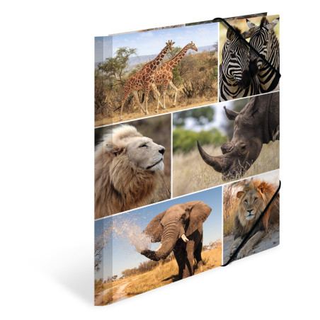 HERMA Chemises à élastique Animaux avec motif Aniimaux d'afrique, A4, carton robuste, avec impression intérieure, 1 porteé de ch