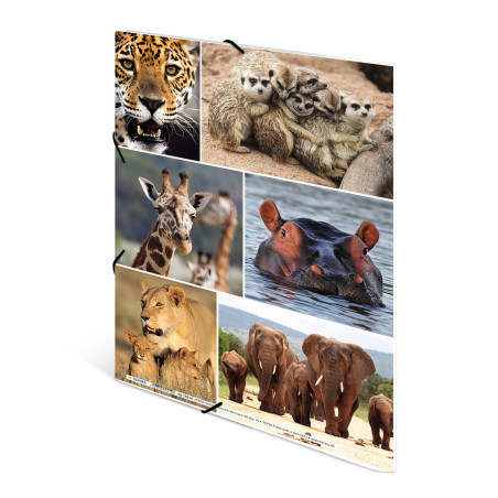 HERMA Chemises à élastique Animaux avec motif Aniimaux d'afrique, A4, carton robuste, avec impression intérieure, 1 porteé de ch