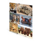 HERMA Chemises à élastique Animaux avec motif Aniimaux d'afrique, A4, carton robuste, avec impression intérieure, 1 porteé de ch HERMA Chemises à élastique Animaux avec motif Aniimaux d'afrique, A4, carton robuste, avec impression intérieure, 1 porteé de ch