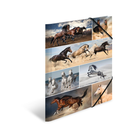 HERMA Chemises à élastique Animaux avec motif Chevaux, A3, carton robuste, avec impression intérieure, 1 porteé de chemise