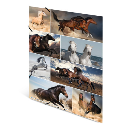 HERMA Chemises à élastique Animaux avec motif Chevaux, A3, carton robuste, avec impression intérieure, 1 porteé de chemise