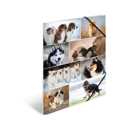 HERMA Chemises à élastique Animaux avec motif Chiens, A3, carton robuste, avec impression intérieure, 1 porteé de chemise
