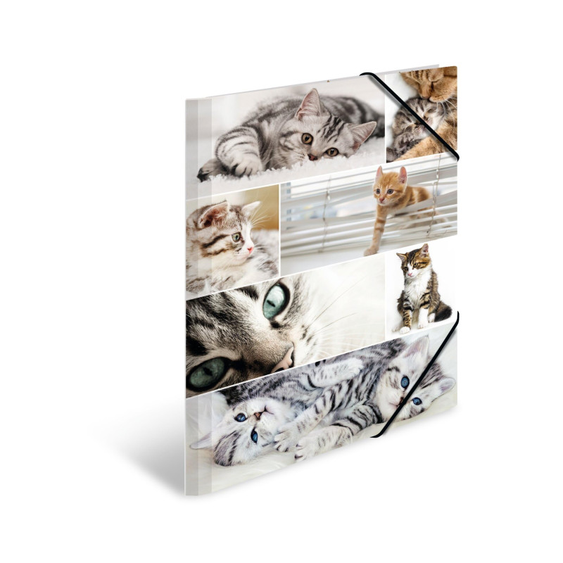 HERMA Chemises à élastique Animaux avec motif Chats, A3, carton robuste, avec impression intérieure, 1 porteé de chemise HERMA Chemises à élastique Animaux avec motif Chats, A3, carton robuste, avec impression intérieure, 1 porteé de chemise