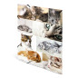 HERMA Chemises à élastique Animaux avec motif Chats, A3, carton robuste, avec impression intérieure, 1 porteé de chemise HERMA Chemises à élastique Animaux avec motif Chats, A3, carton robuste, avec impression intérieure, 1 porteé de chemise