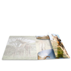 Herma 19322 brillant Chemise A4 Plastique, série animaux motif girafe, Impression à dessin avec chemise en caoutchouc, avec inté