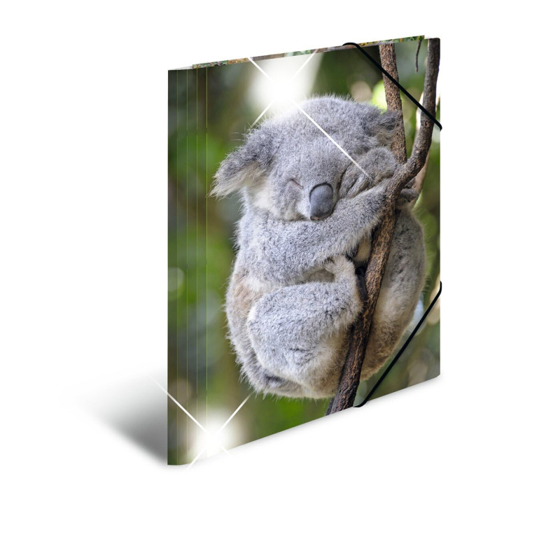 HERMA 19323 Classeur A4 en plastique solide avec effet brillant et rabats intérieurs imprimés Motif koala