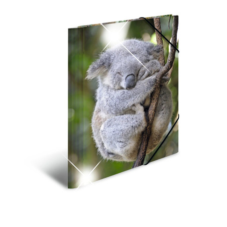 HERMA 19323 Classeur A4 en plastique solide avec effet brillant et rabats intérieurs imprimés Motif koala