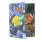 HERMA 19324 Classeur A4 en plastique solide avec effet brillant et rabats intérieurs imprimés Motif animaux et poissons HERMA 19324 Classeur A4 en plastique solide avec effet brillant et rabats intérieurs imprimés Motif animaux et poissons