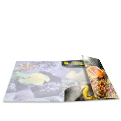 HERMA 19324 Classeur A4 en plastique solide avec effet brillant et rabats intérieurs imprimés Motif animaux et poissons